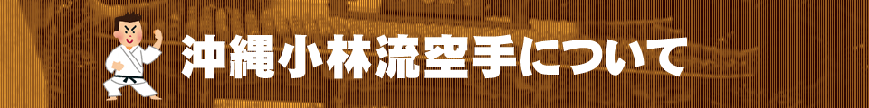 沖縄小林流空手について
